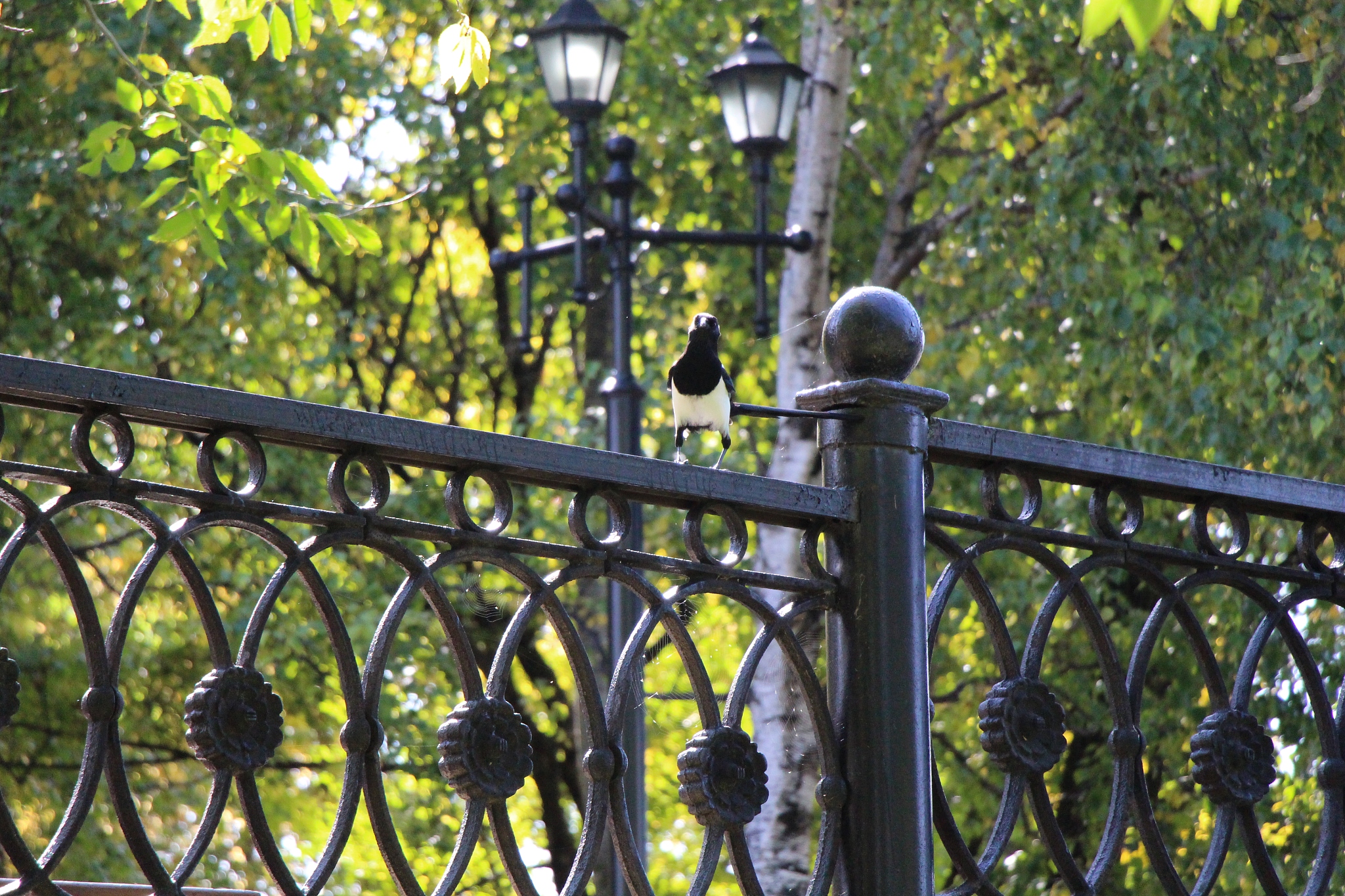 户外铁艺公园椅在车间制作生产完成即将打包发货上门安装