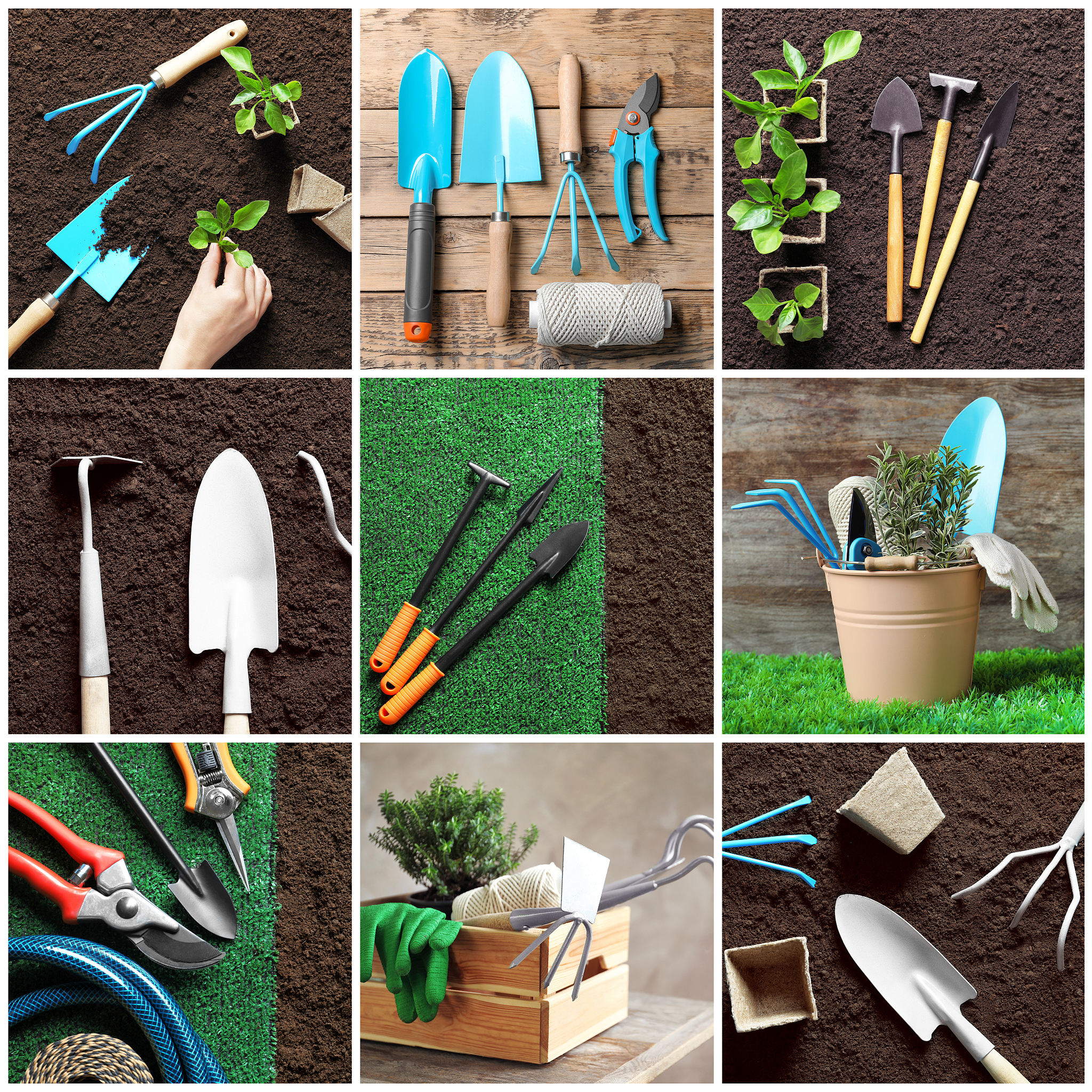 Best Garden Tools & Planting Tutorials: Reviews & Tips for Your Green Thumb