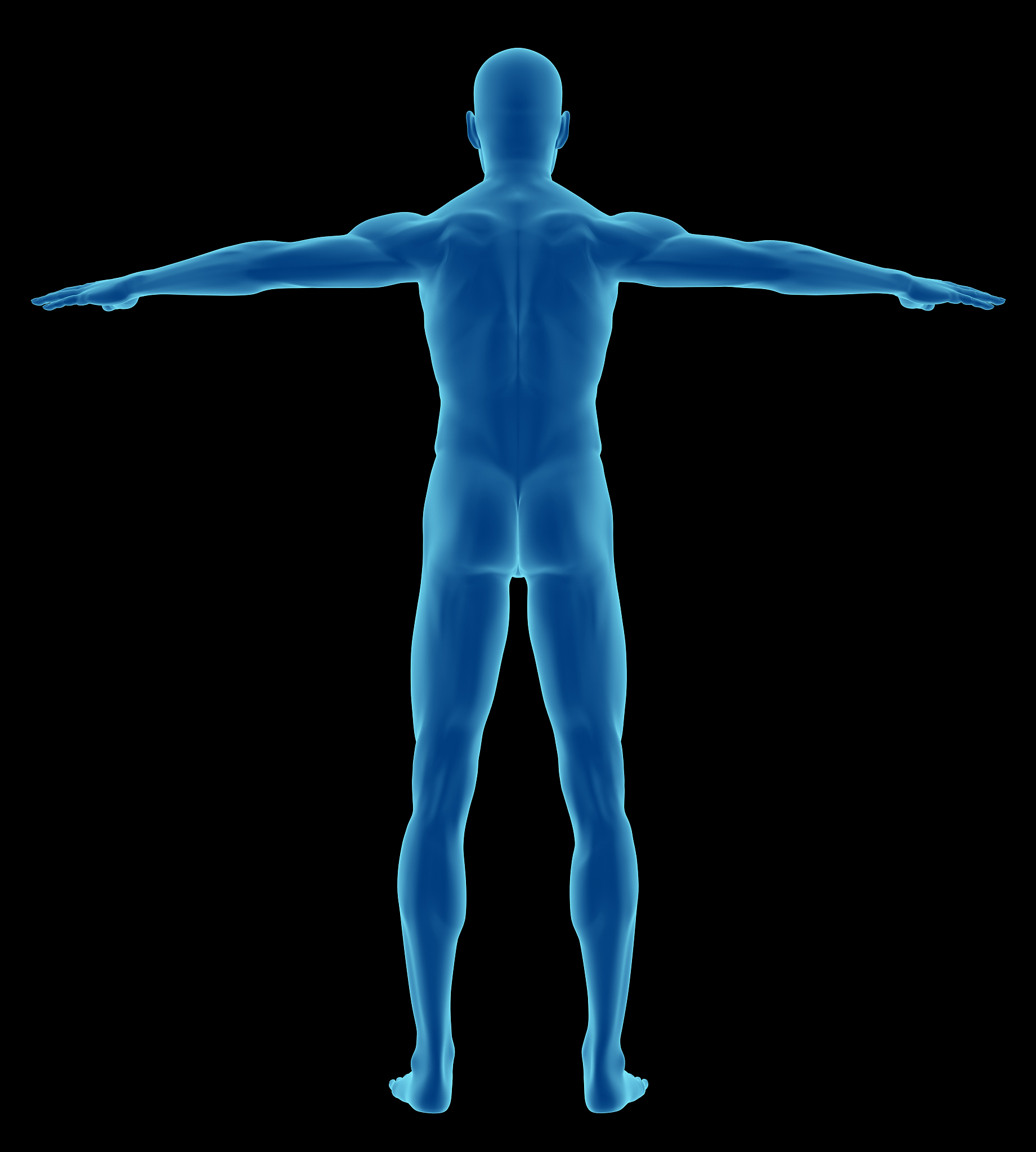 没有虎头肌或三角肌会怎样？