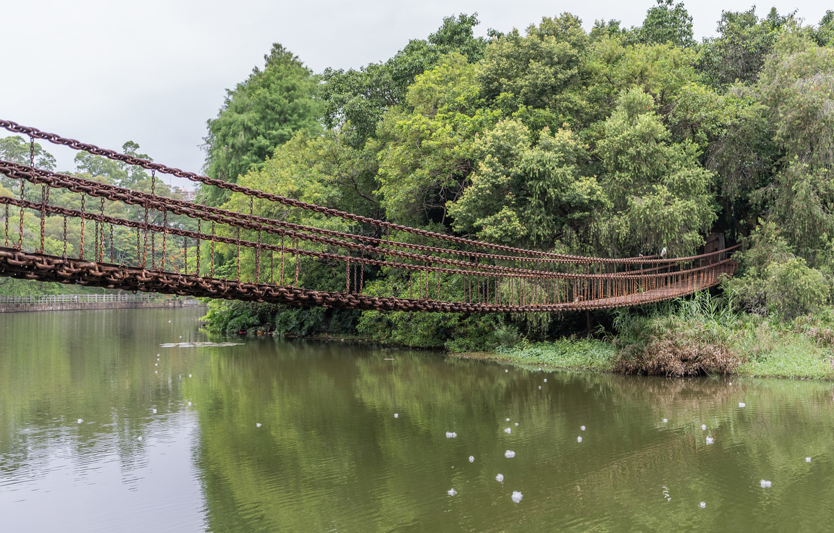 弋阳网红桥在什么地方？回答加解释