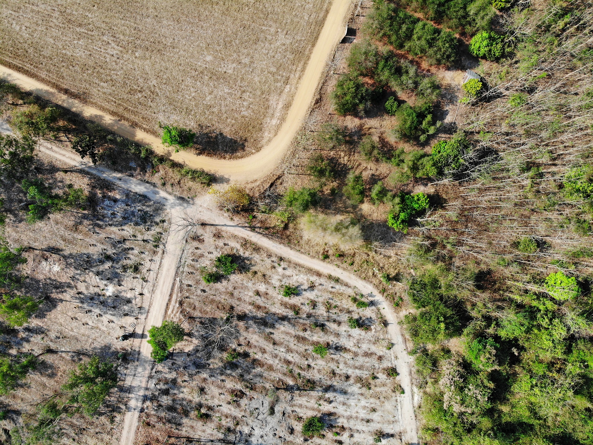 云南航空经济管理学校航空无人机管理专业就业前景分析