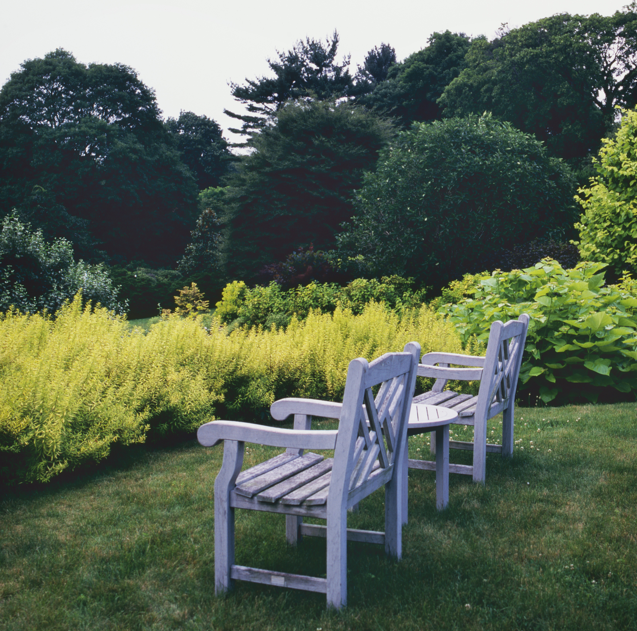 在蓝天白云下，躺在小院里读书的幸福时光