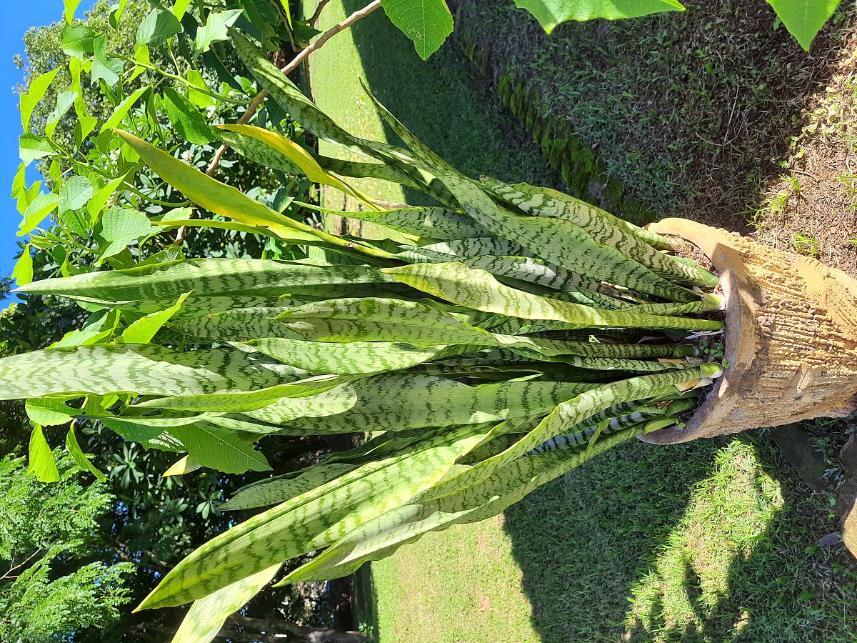 红河学院植物保护专业怎么样