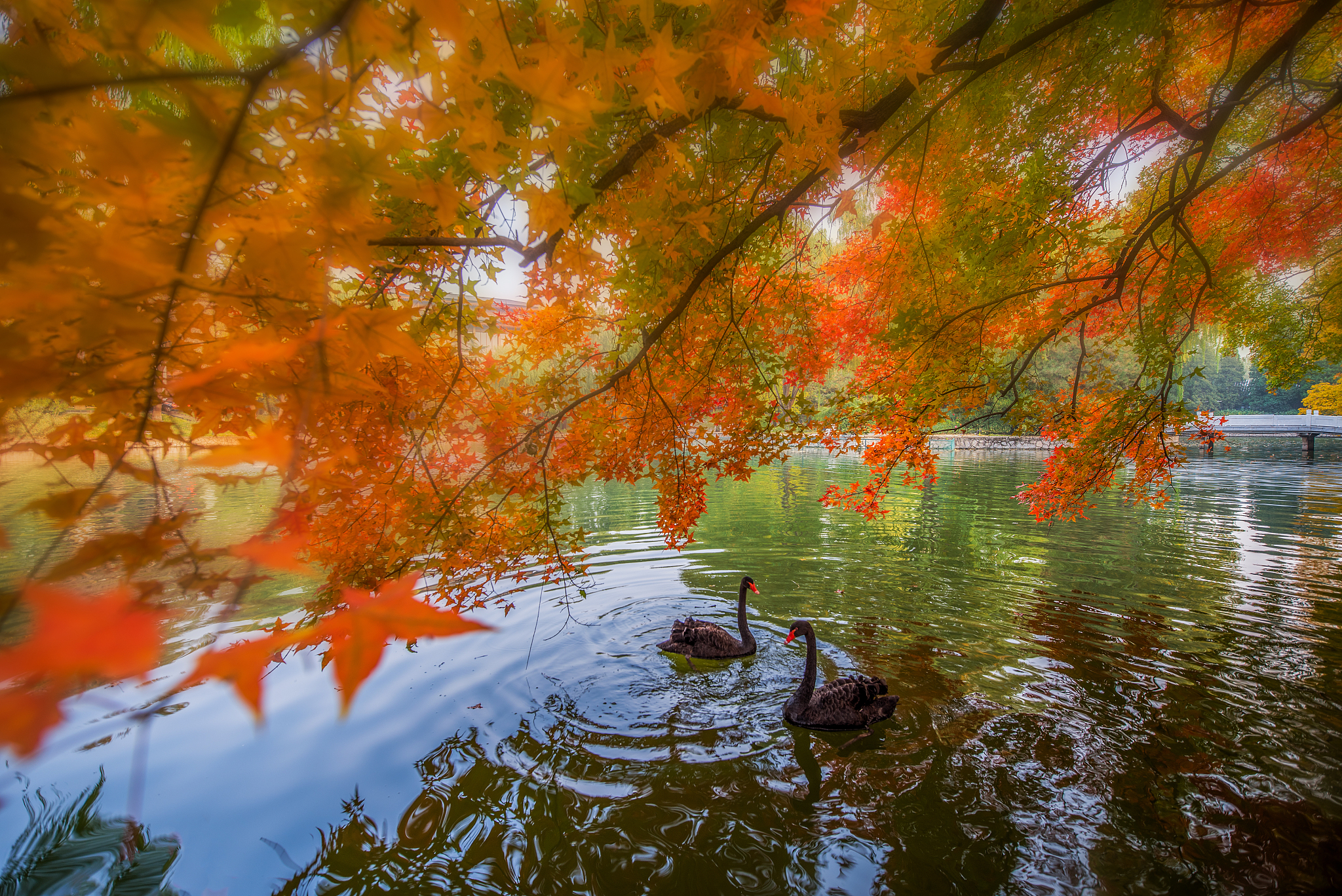 关于风景的文案
