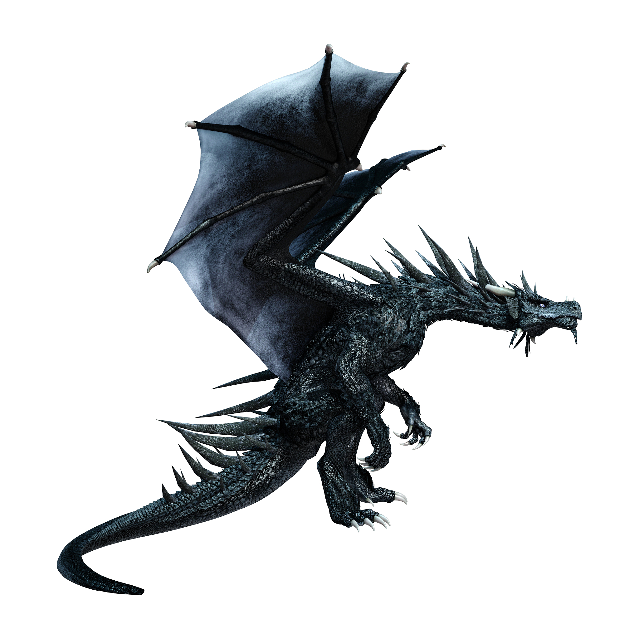 3d illustration fantasy dragon on white
