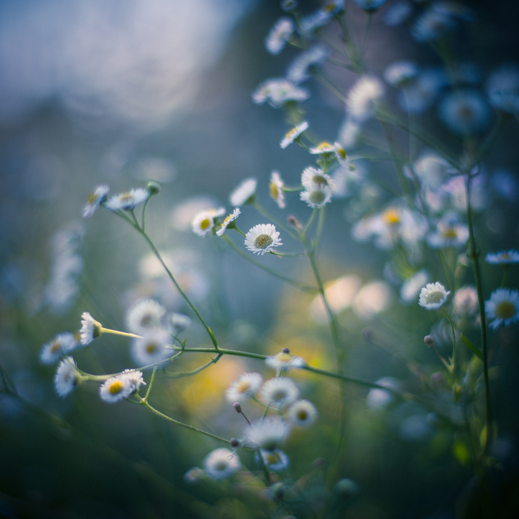 风雨中思念你：等你归来