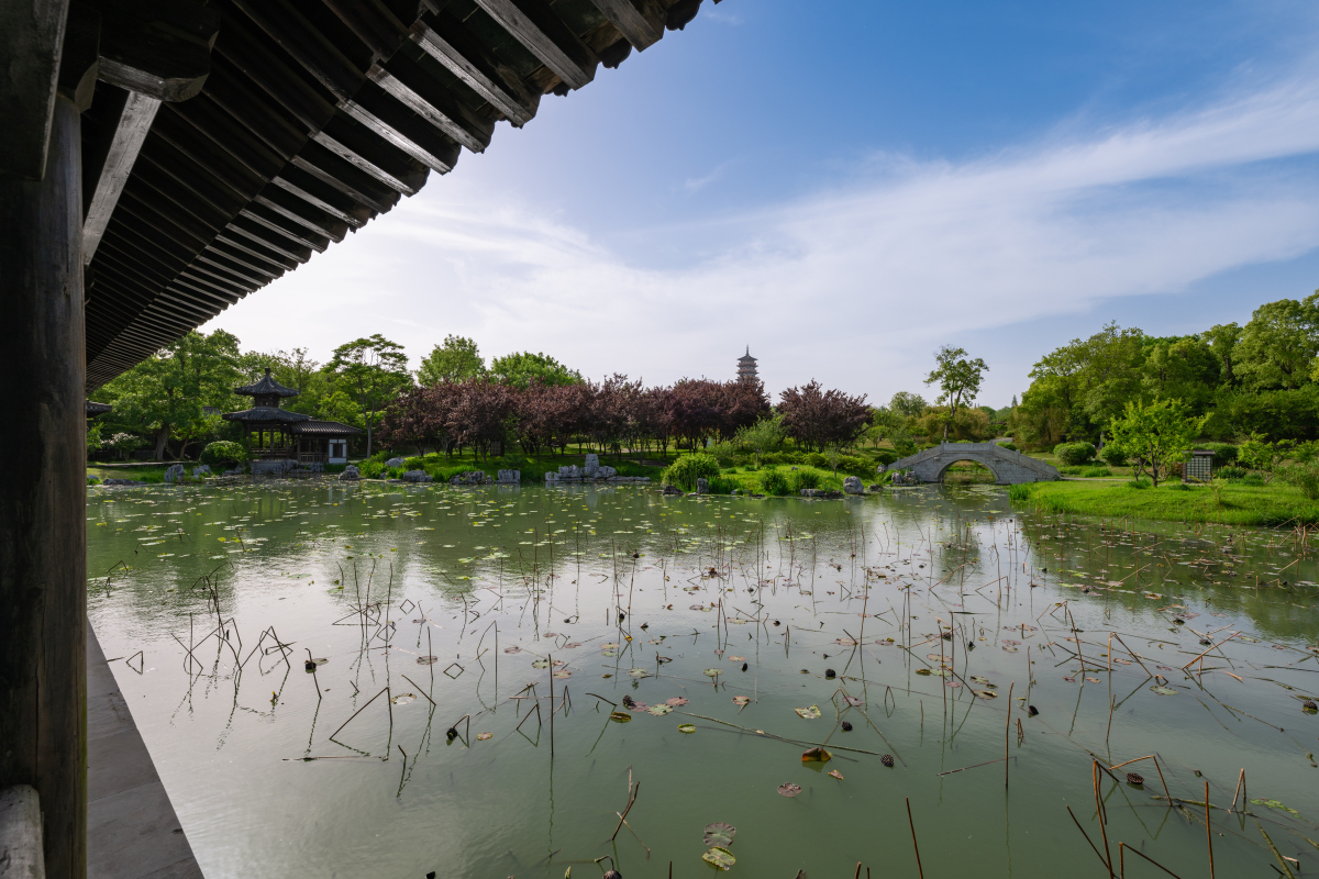 探秘扬州：千年古城，江南水乡，美食天堂