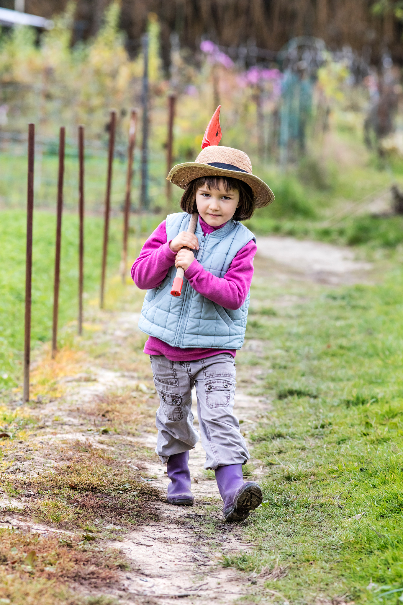 determined preschooler walking on garden path with shovel on sho