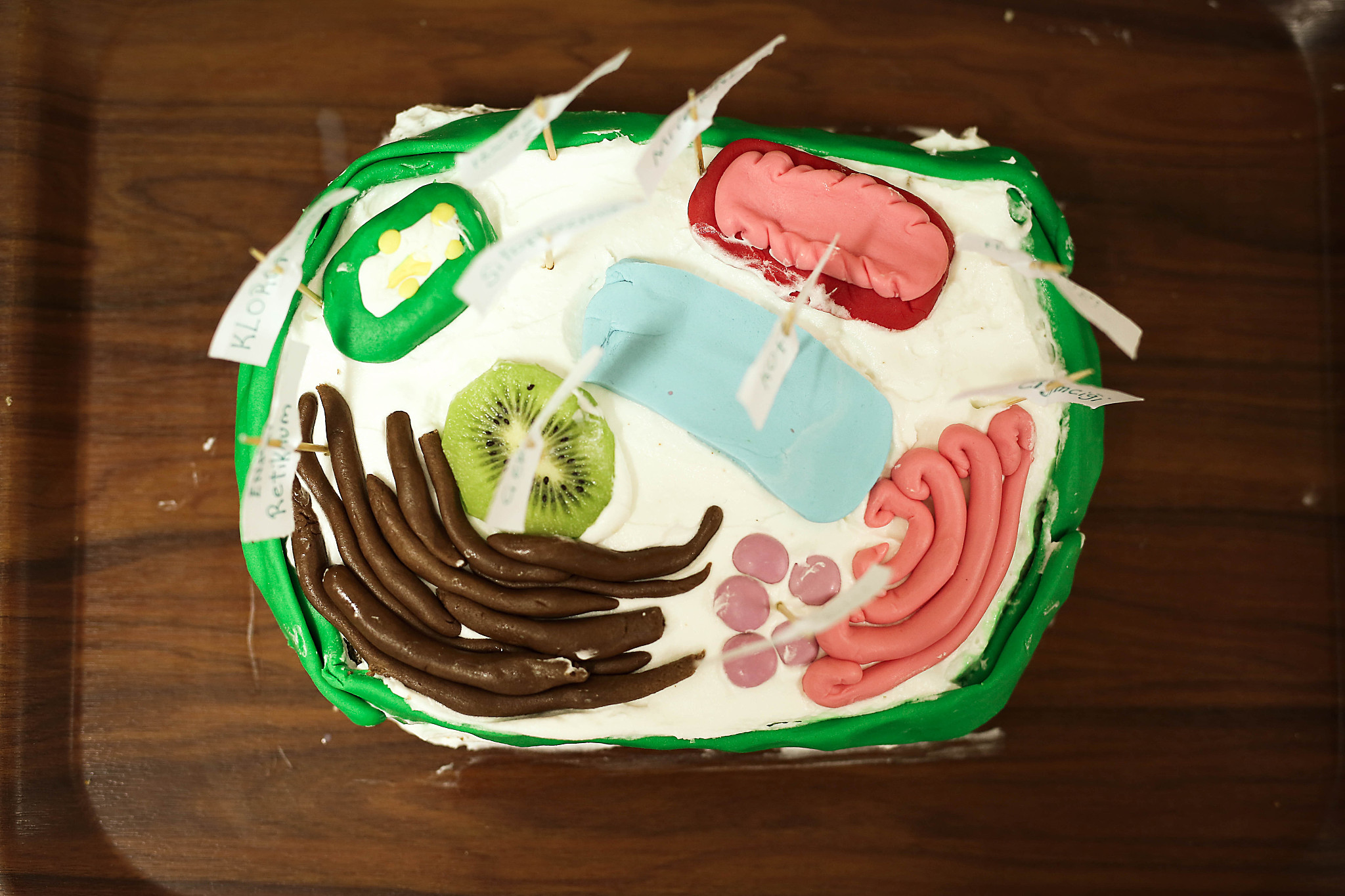 重庆行知技师学院食品生物技术专业介绍