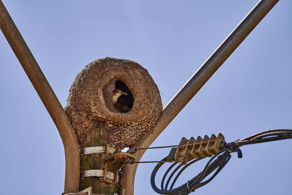 云浮市中等专业学校2022年招生简章 - 报名条件、方式及流程