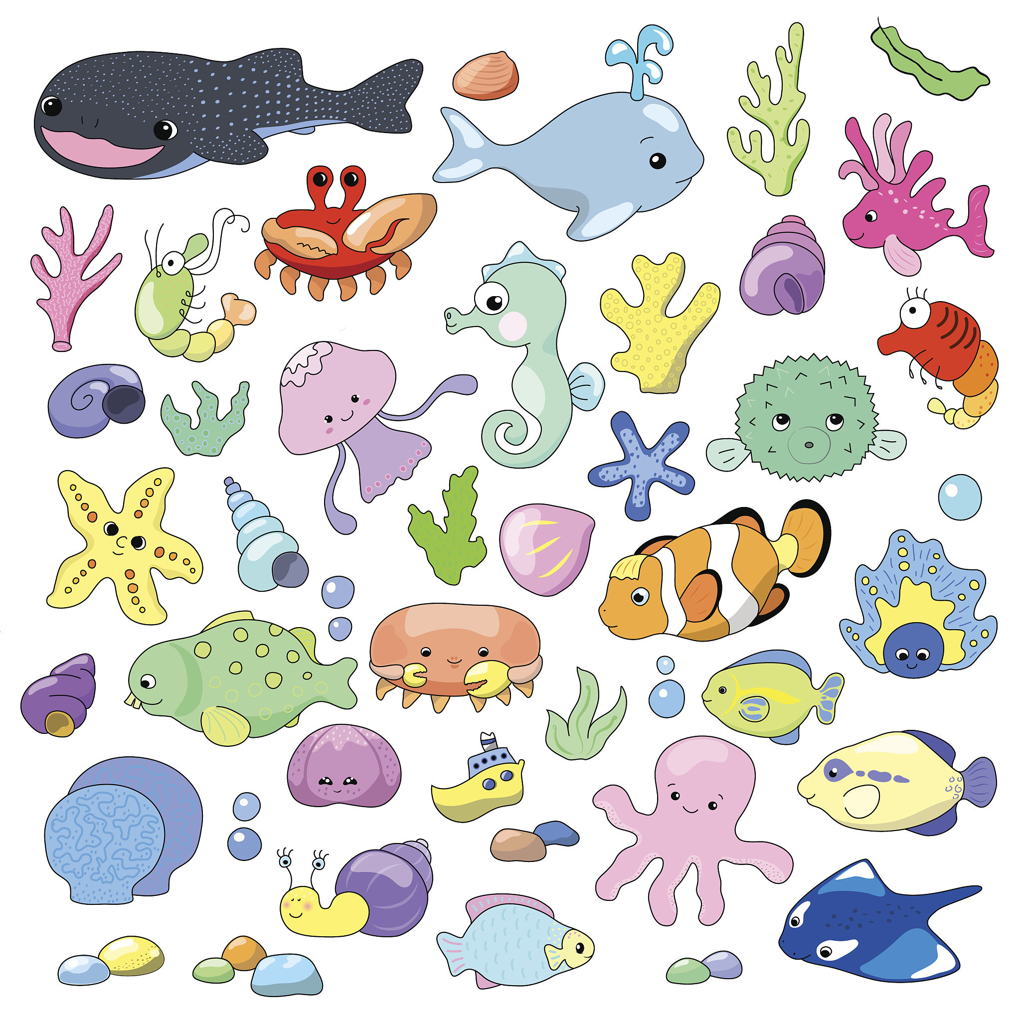 鲤鱼王是狗吗？真相揭秘！