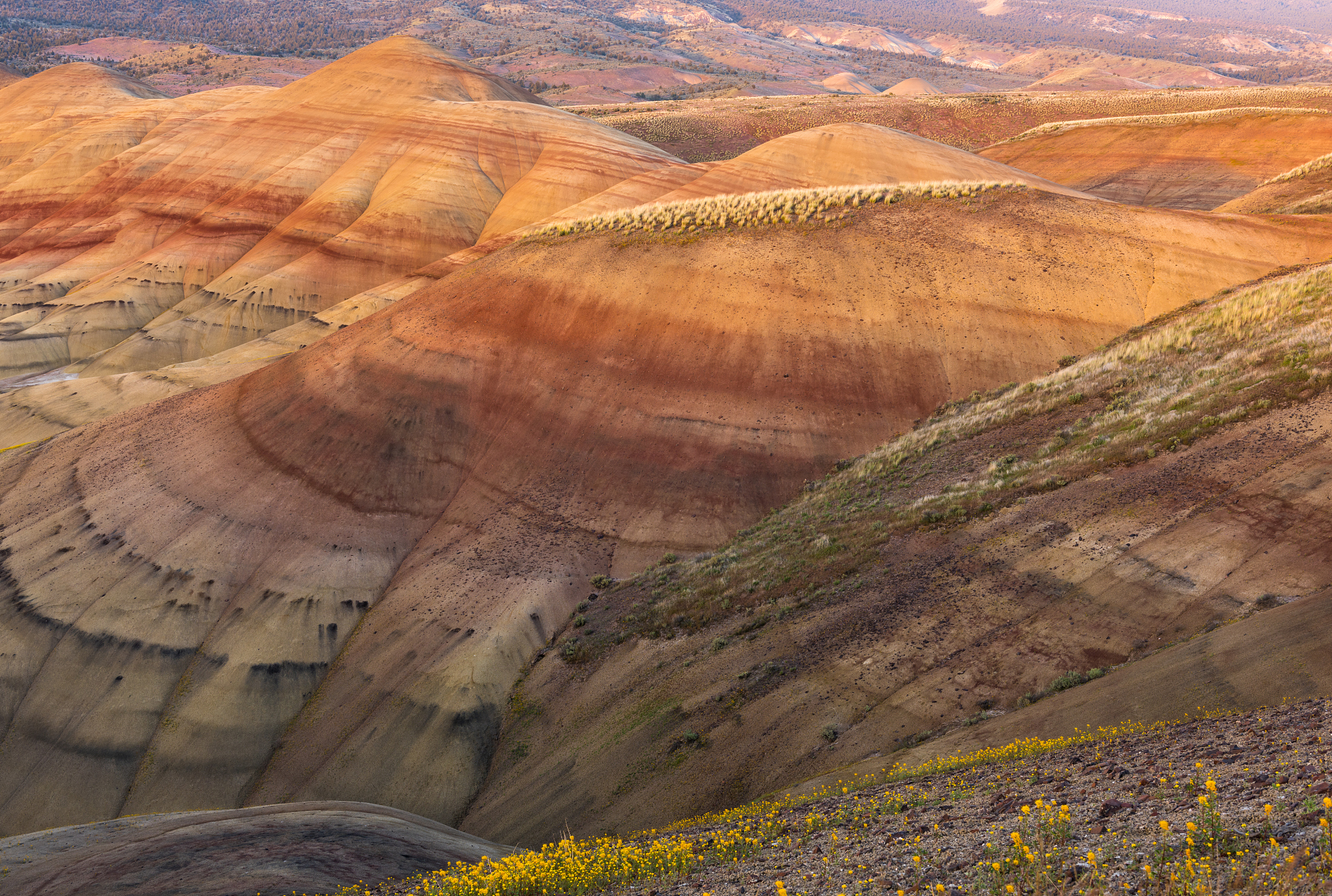 painted hills at sunset