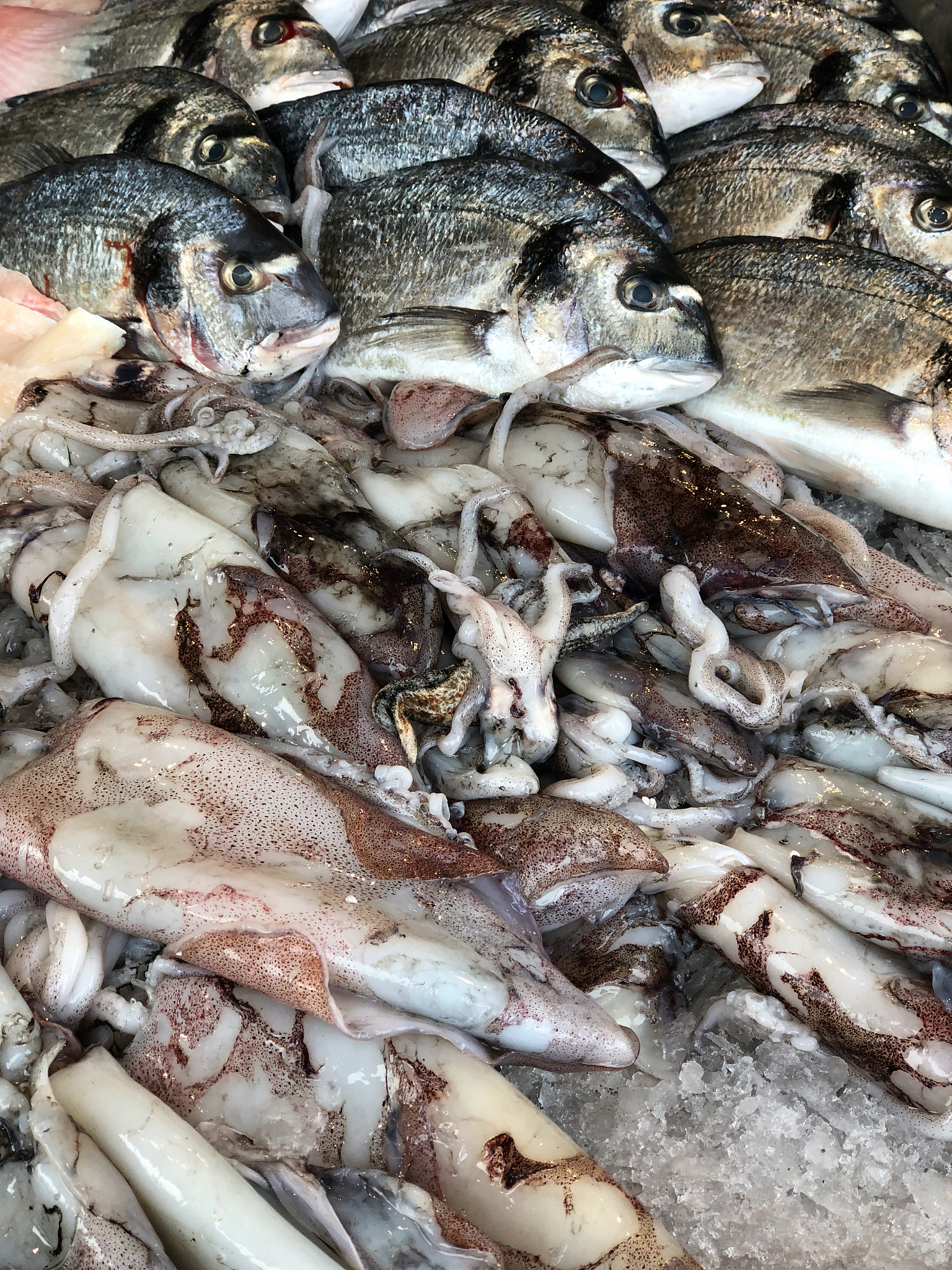 帮我写一份卖鱼仔的直播话术要求详细