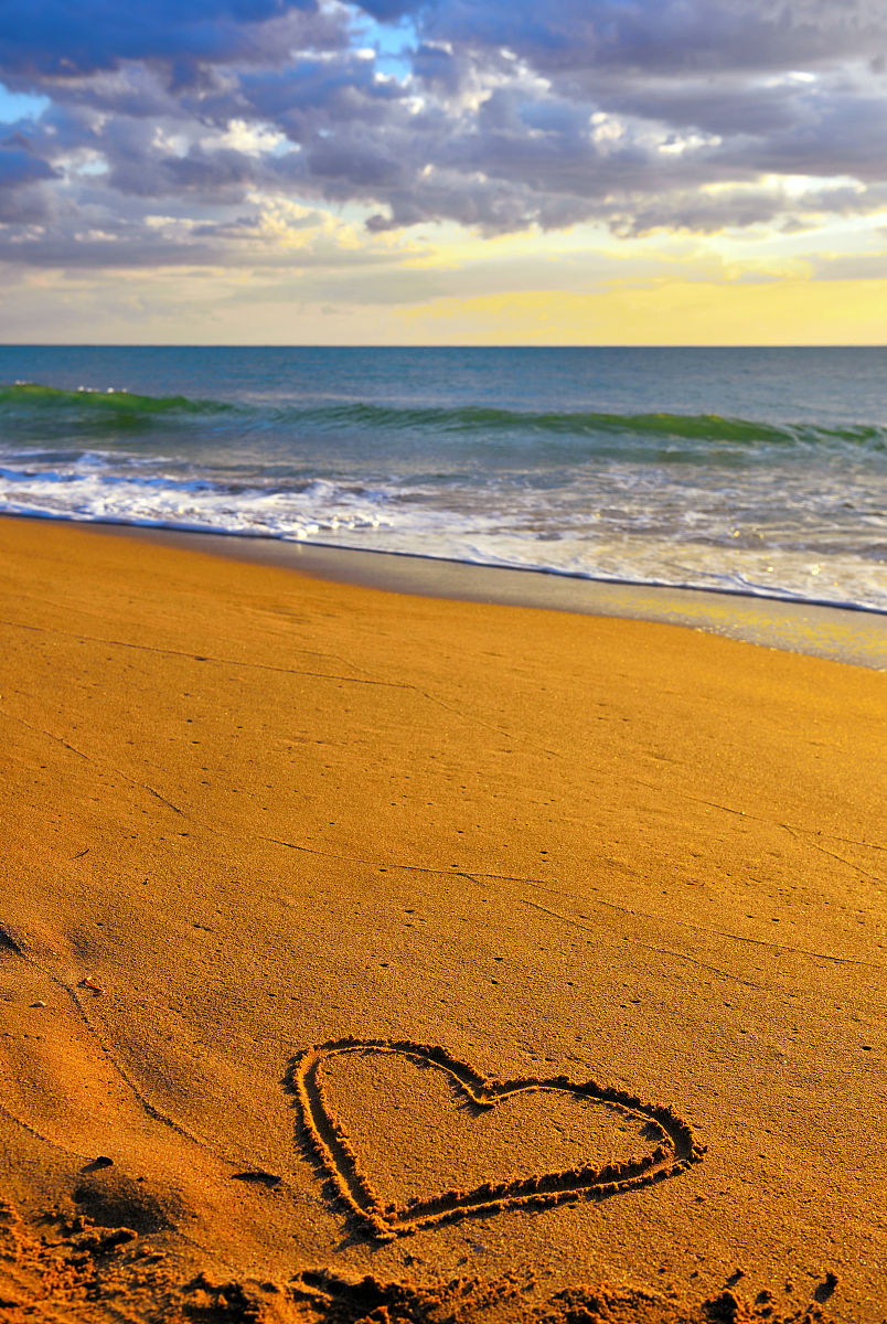 云南曲靖农业学校2019年全日制五年制普通大学招生专业报名