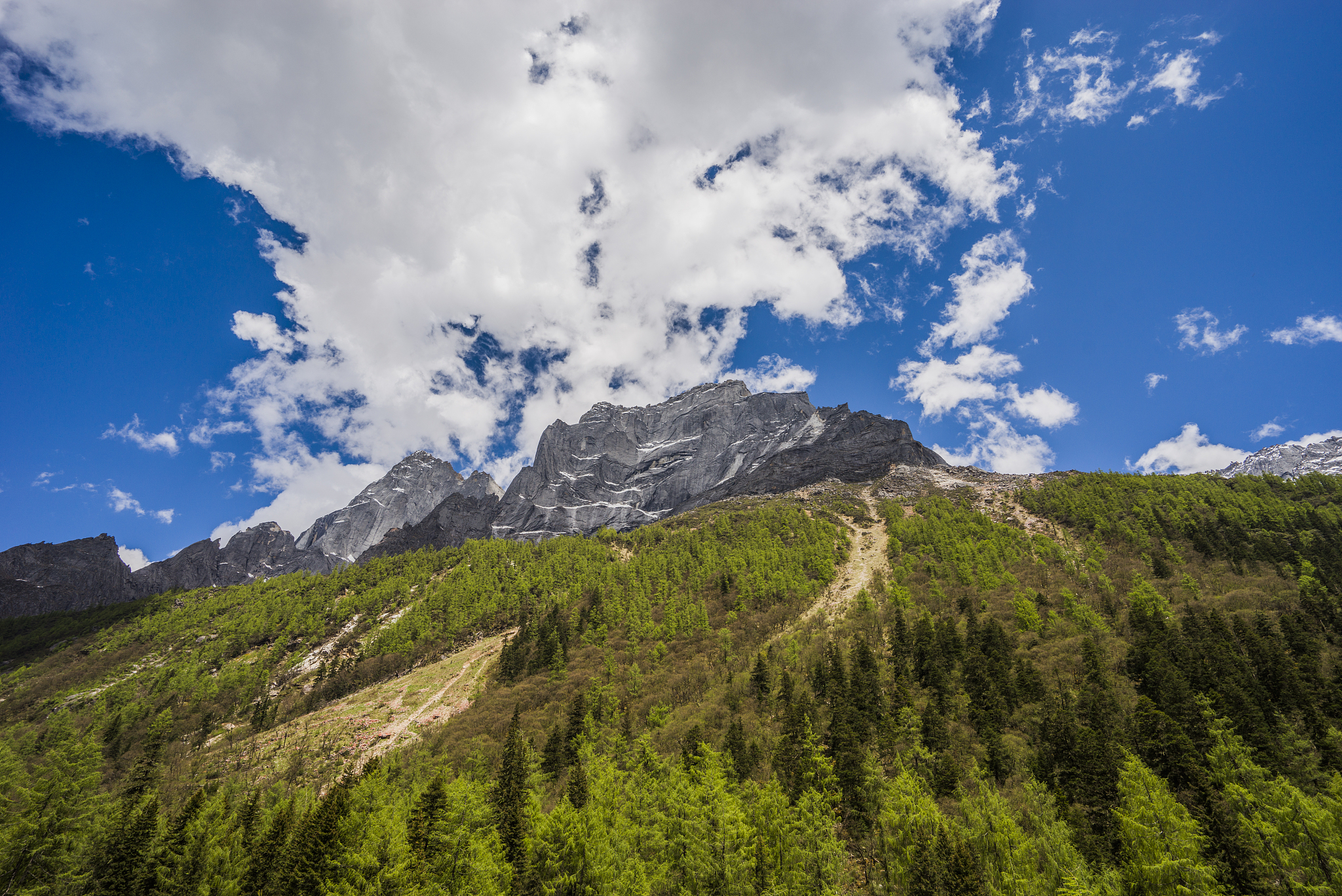 四姑娘山美景