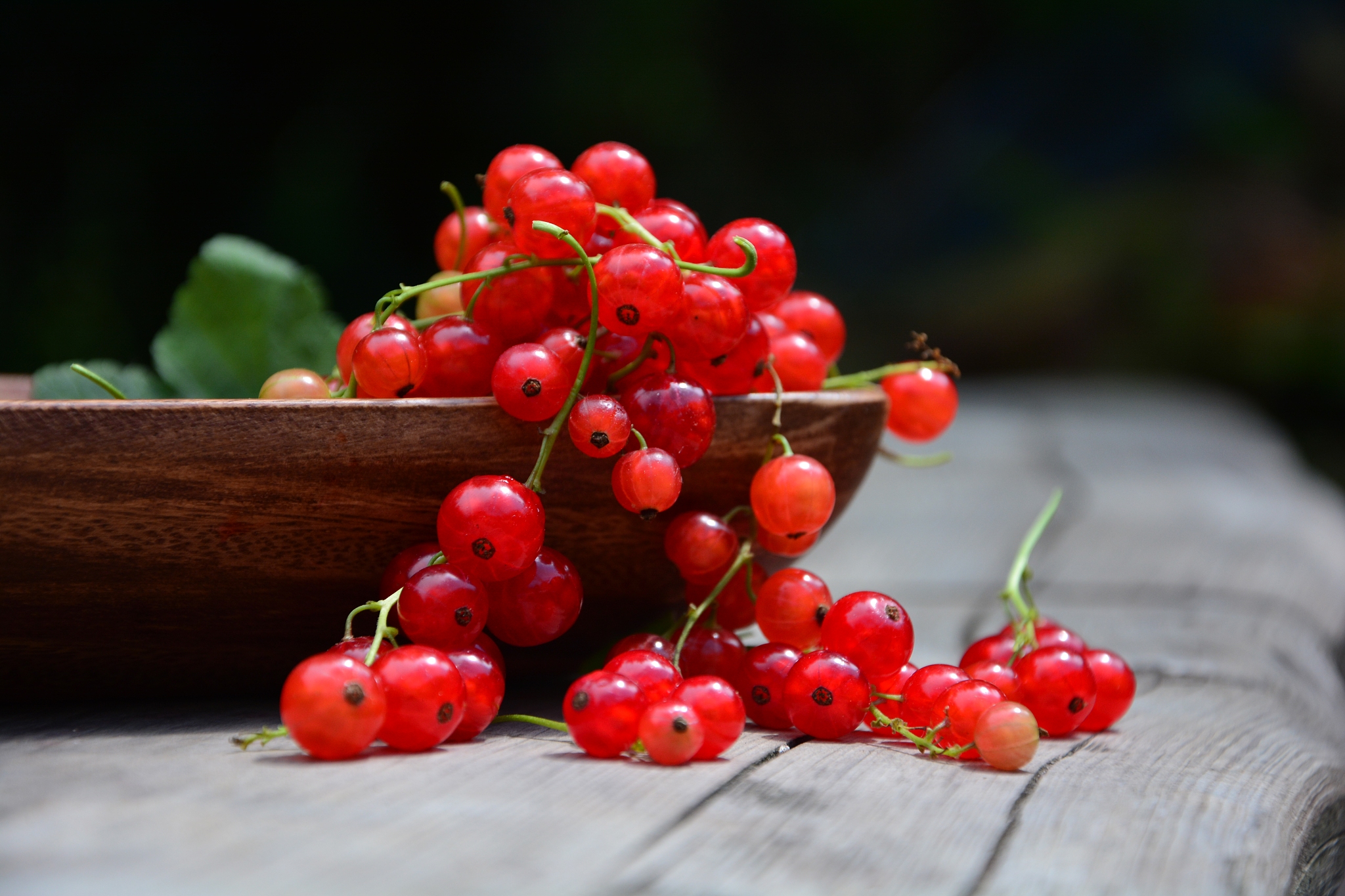 close-up of red currant on table