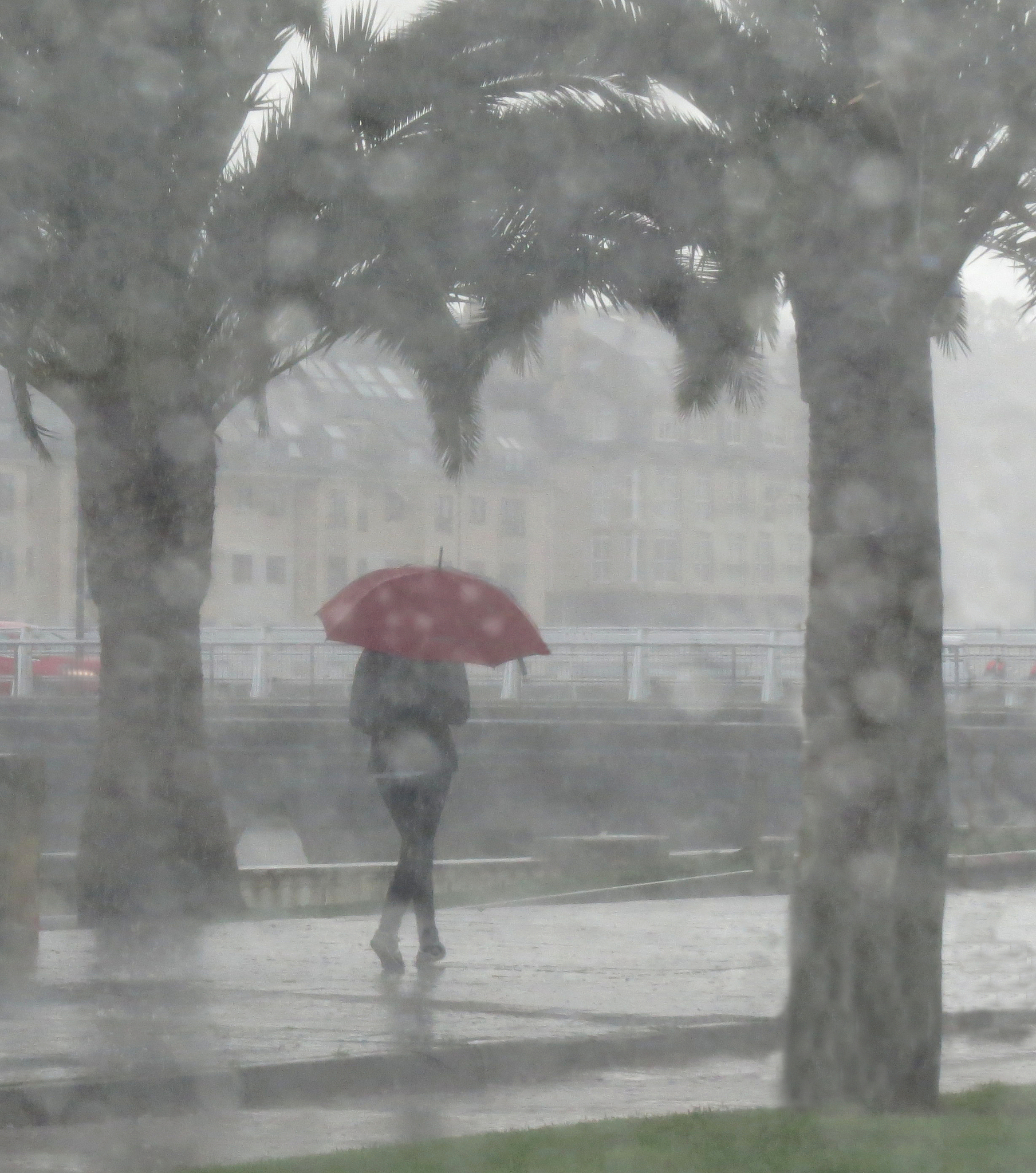 根据下面内容洗稿重新写一篇全新文章过去一周广东大部陷入被雨水支配的无奈广东人纷纷吐槽不是在下雨就是在下雨的路上。广东街坊也成功变身全国最潮的仔确认过眼神咱们都是潮男潮女。雨雾迷蒙的广州市区。羊城晚报全媒体记者 梁怿韬 摄不少小伙伴表示衣服晾了一个星期还没干衣服的库存已经告急这雨究竟还要再下多久？答案是：还要继续下！据广东天气未来几天雨雾天气依旧是主调气温逐渐回升4月1日稳定降水为主阴雨清凉；2日～