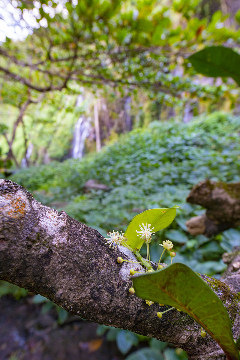 锦书小说App：海量小说，优质阅读，个性化推荐