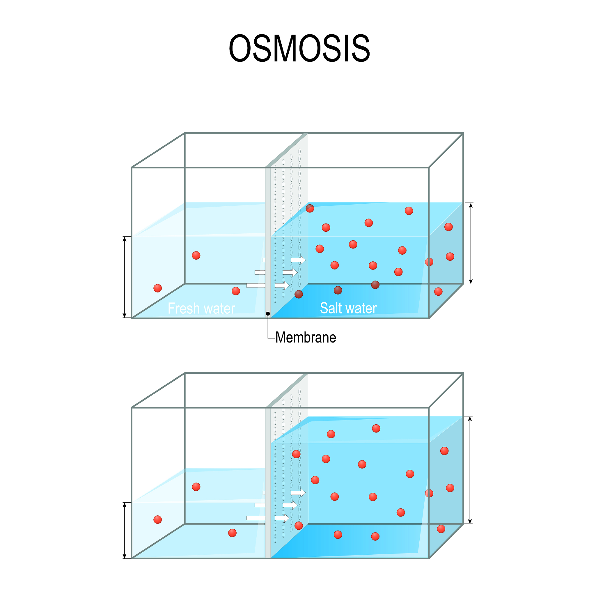 Water Moisture Accumulation Near Hole on Packaging
