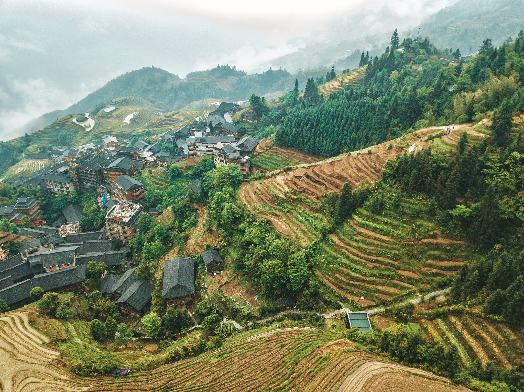 广西农业职业技术学院中草药栽培技术专业怎么样？课程设置及发展前景