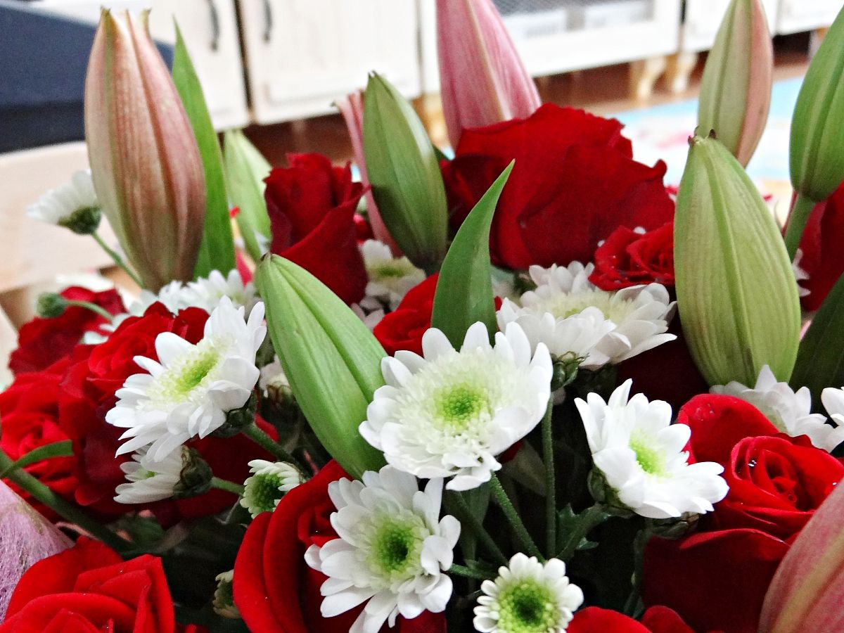 印江县民族职业技术学校招生办联系电话