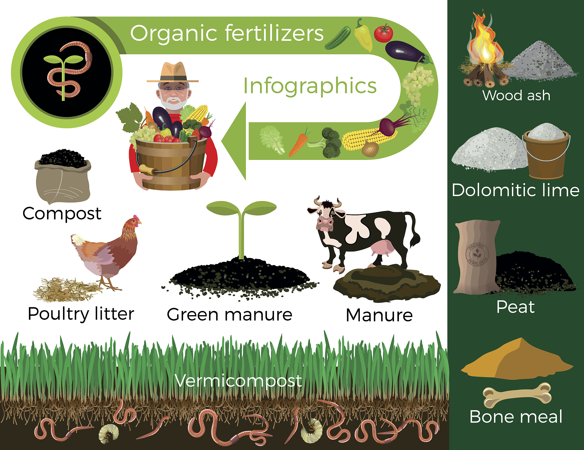 The Rising Popularity of Green Food: A Healthy and Sustainable Choice
