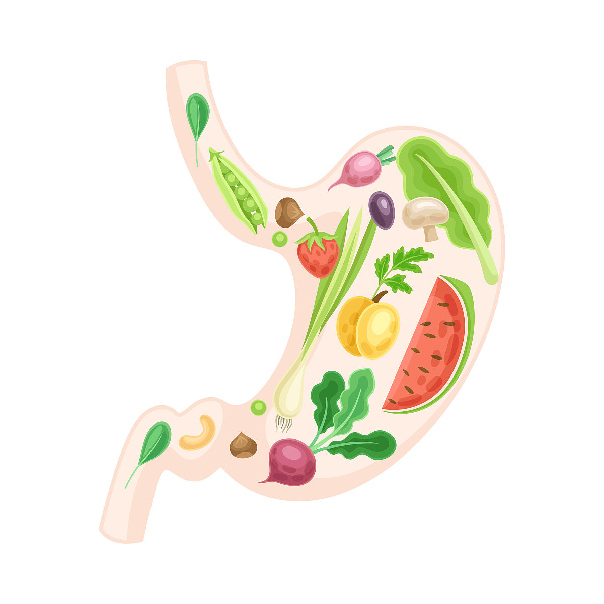 优化一下内容：饮食结构不合理阴阳失调胆囊收缩机能减弱部分胆汁逆行入胃与胃酸作用对胃黏膜凭障产生破坏形成胃的局部不适 在空闲之余到苏北灌南一带挖点苦菜开紫色花产地江苏灌南煮点苦菜汤加点红糖一起用尤其早饭还是要按时吃点的。