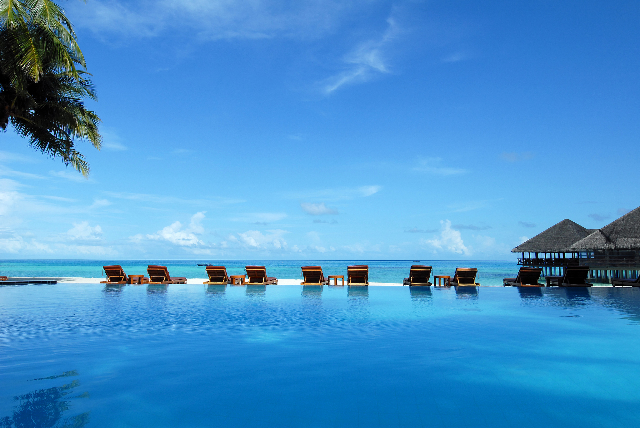 tropical beach resort view featuring the blue ocean