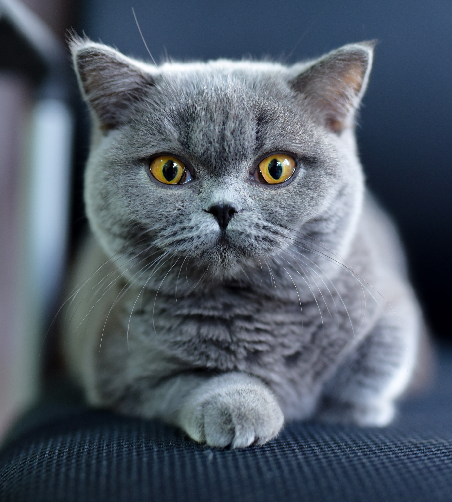 一个1000字左右的小故事带标题