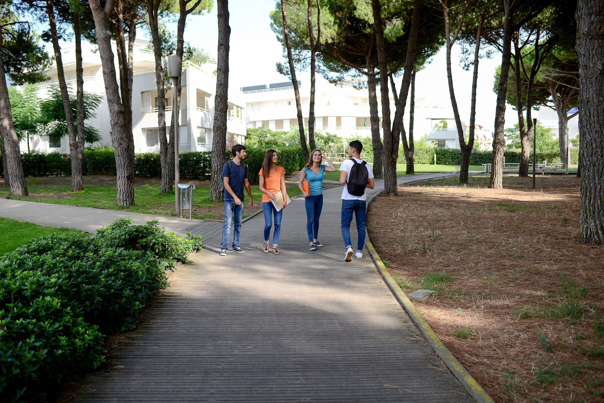 校园漫步，拥抱自由与美好 | 微博推文