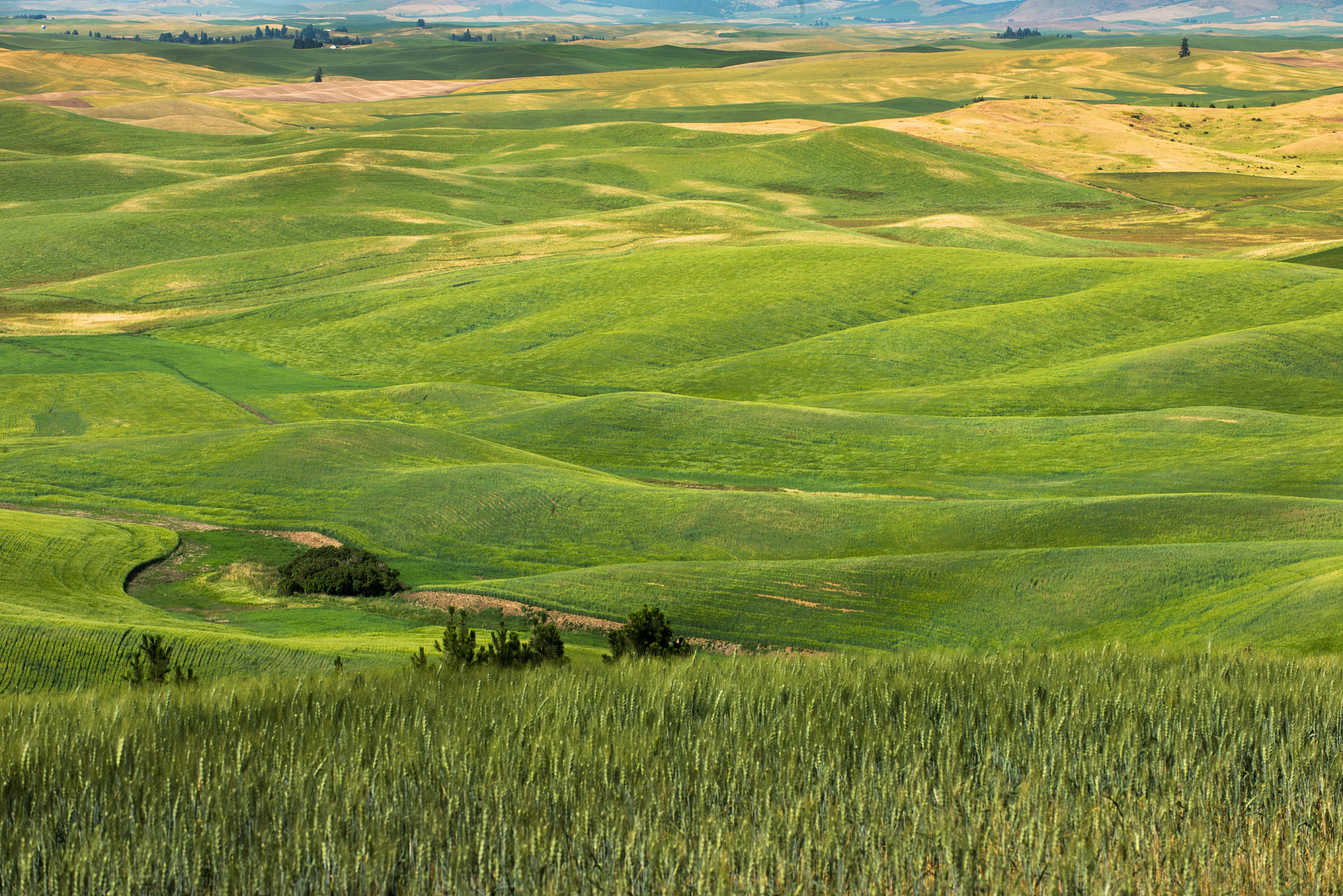the beauty of farmland