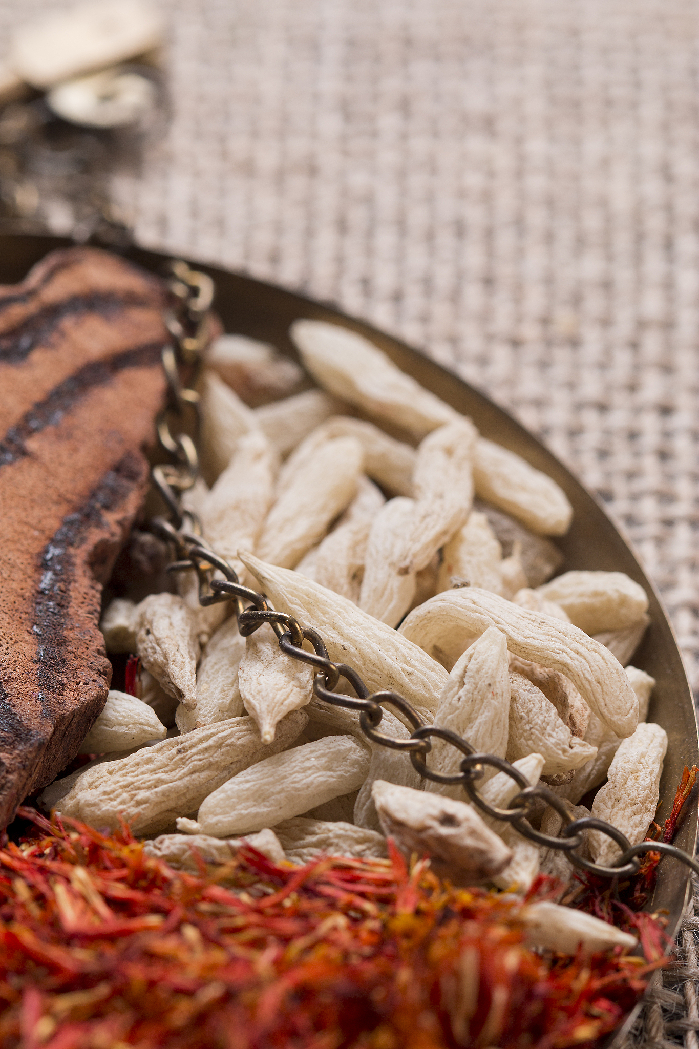 重庆市卫生技工学校中药专业都学些什么