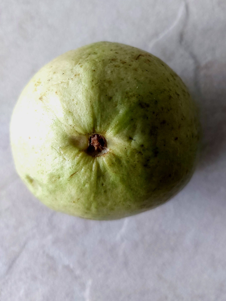 红心番石榴和白心番石榴：基因组差异解析