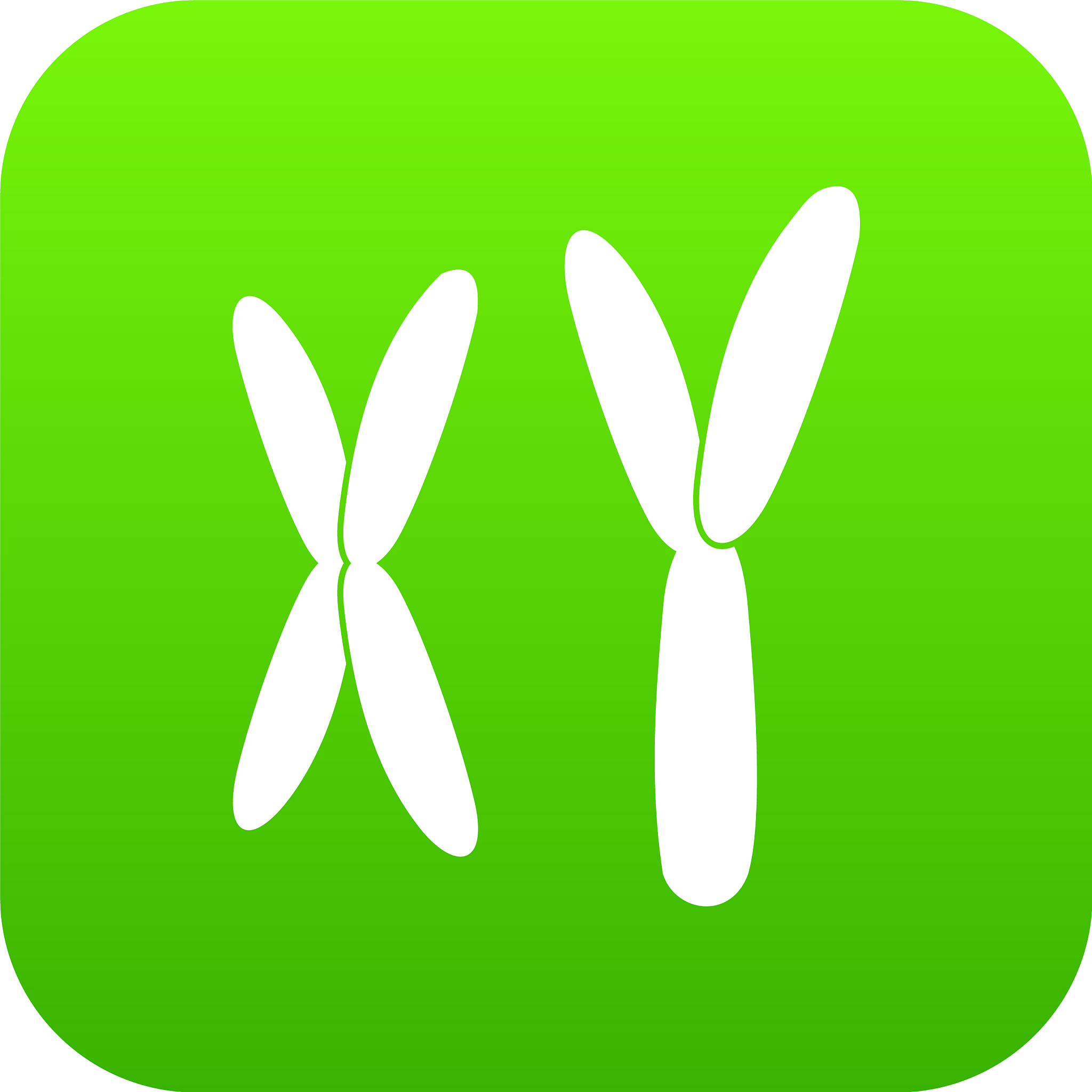 human chromosomes icon digital green
