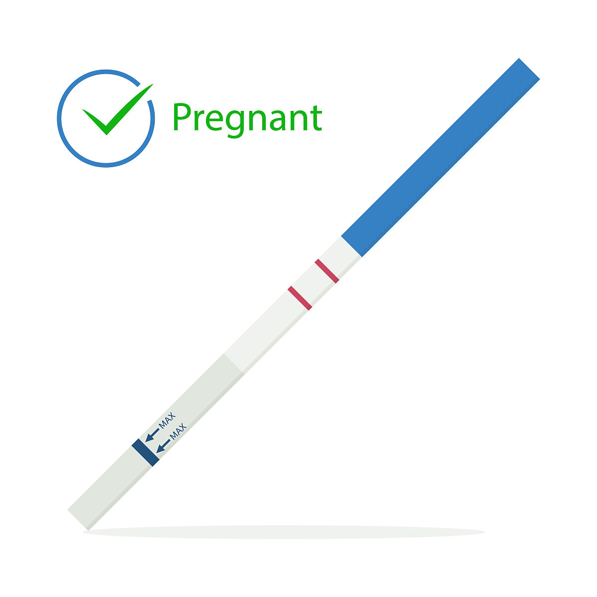 不同精粗比日粮对妊娠后期多羔母羊生长性能及抗氧化性能的影响