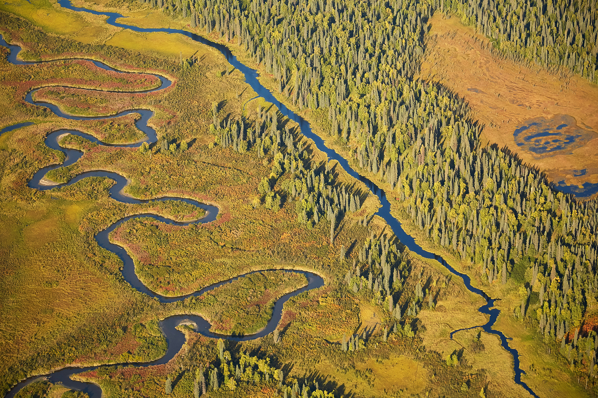 geometry of tundra