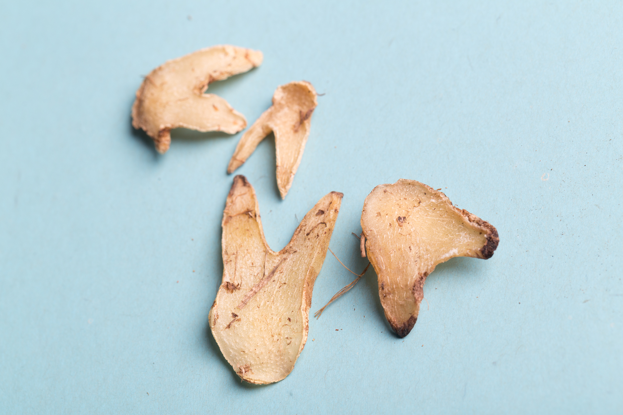 成都华大医药卫生学校：中医康复保健专业介绍