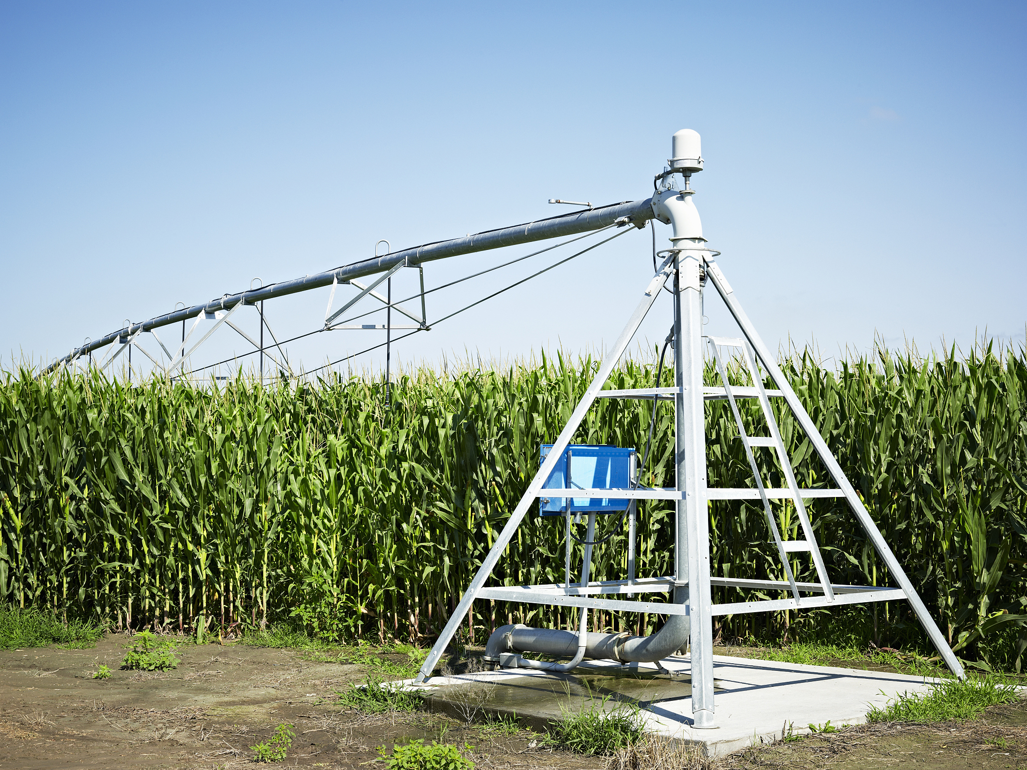 corn field and irrigation system