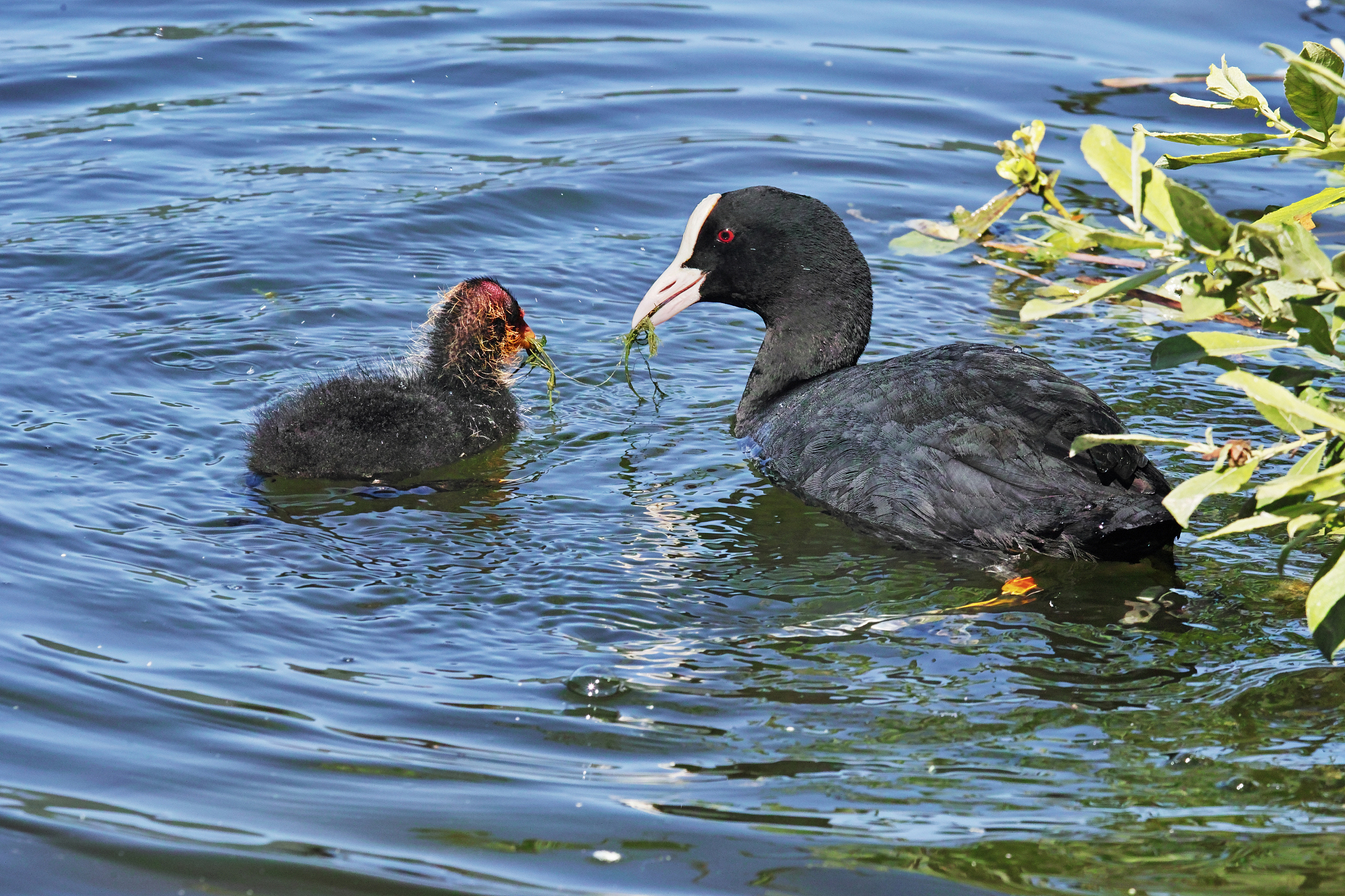 贵州内贸学校市场营销专业2022年招生