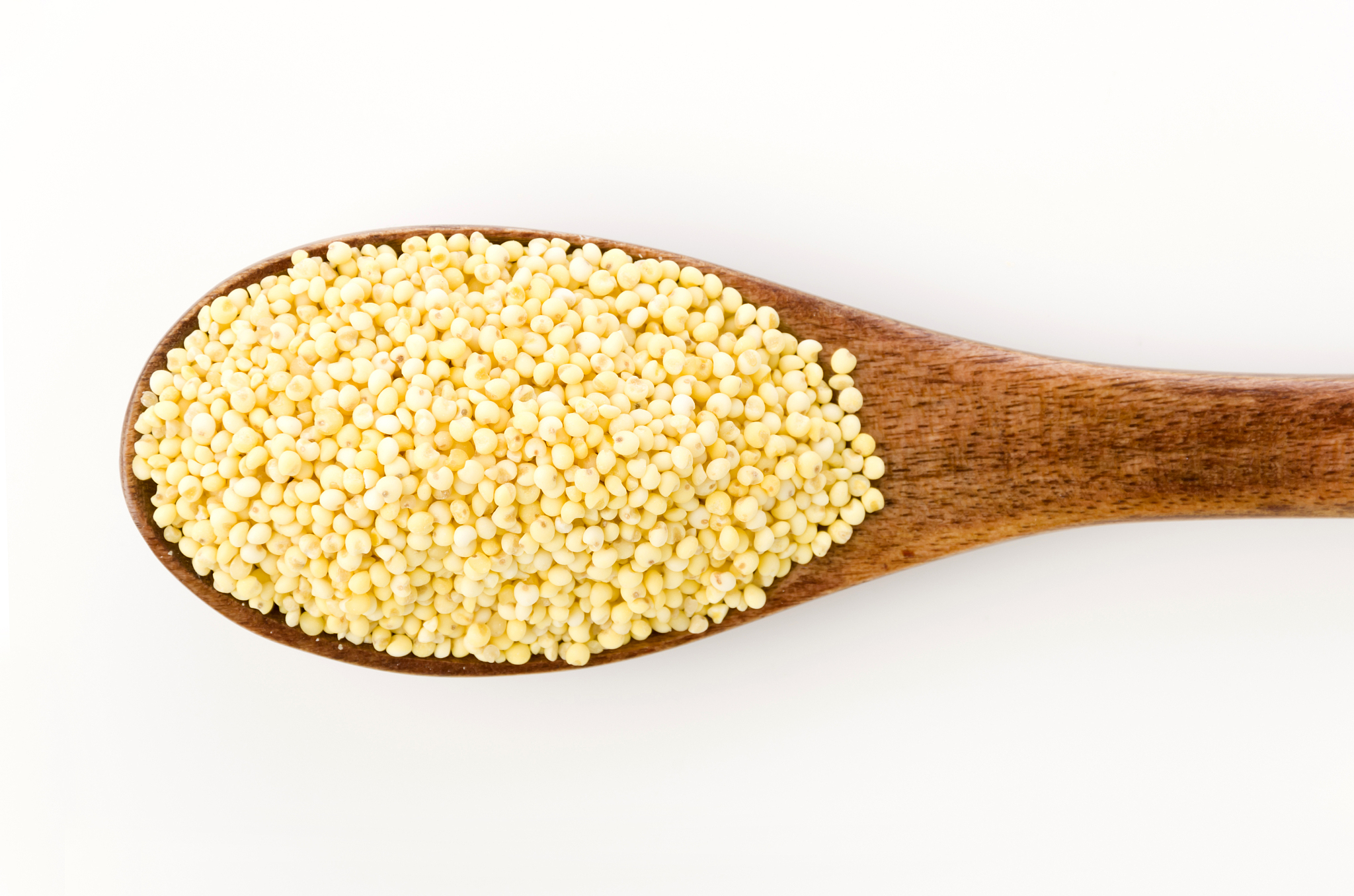 贝因美豆豆奶昔：引领高校健康饮品新风尚