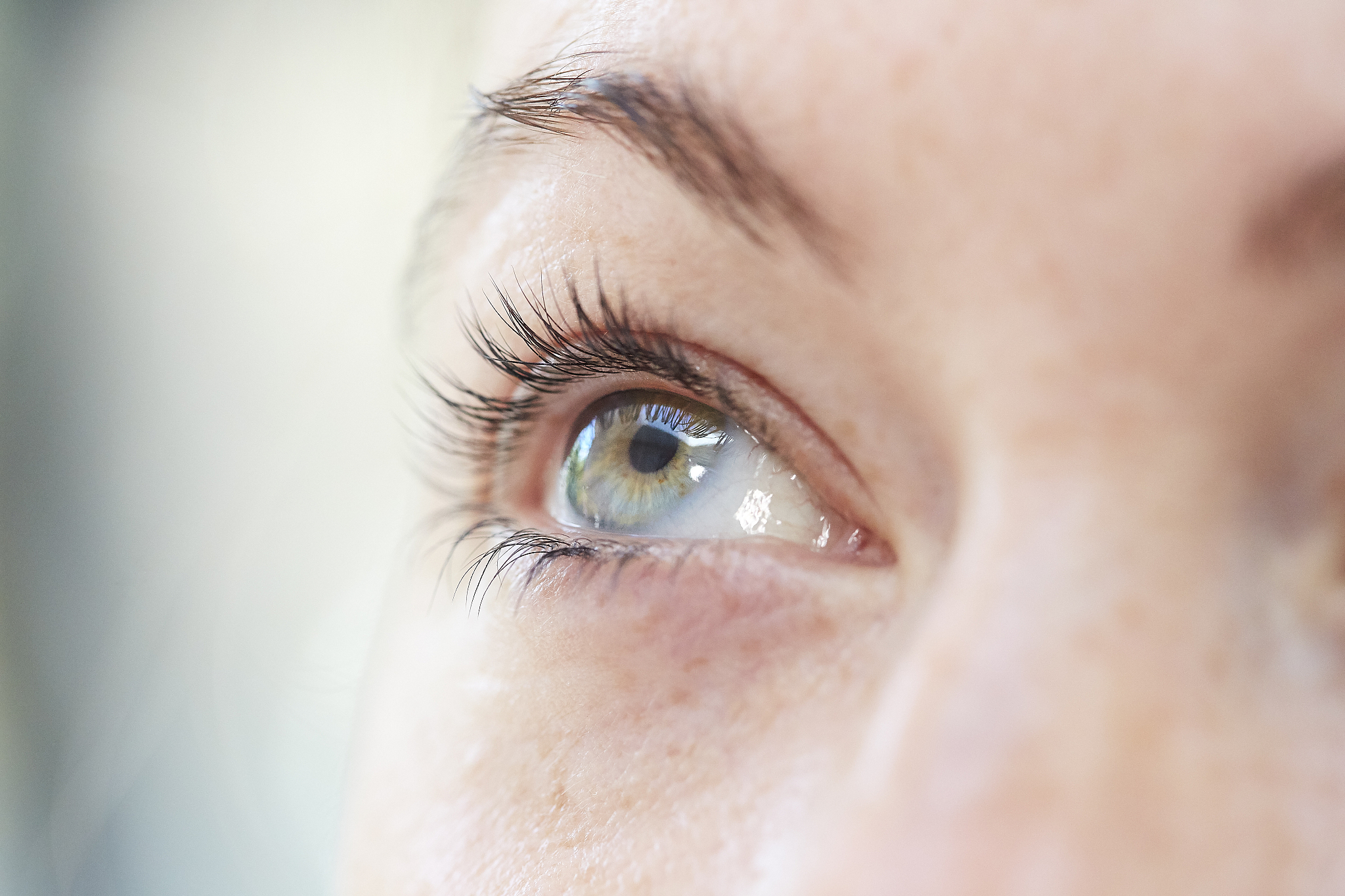 female eye
