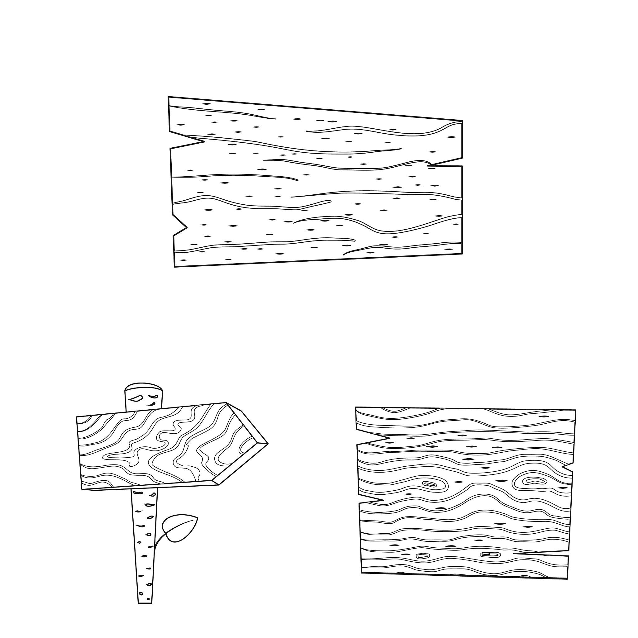 蜡切片法固定怎么固定