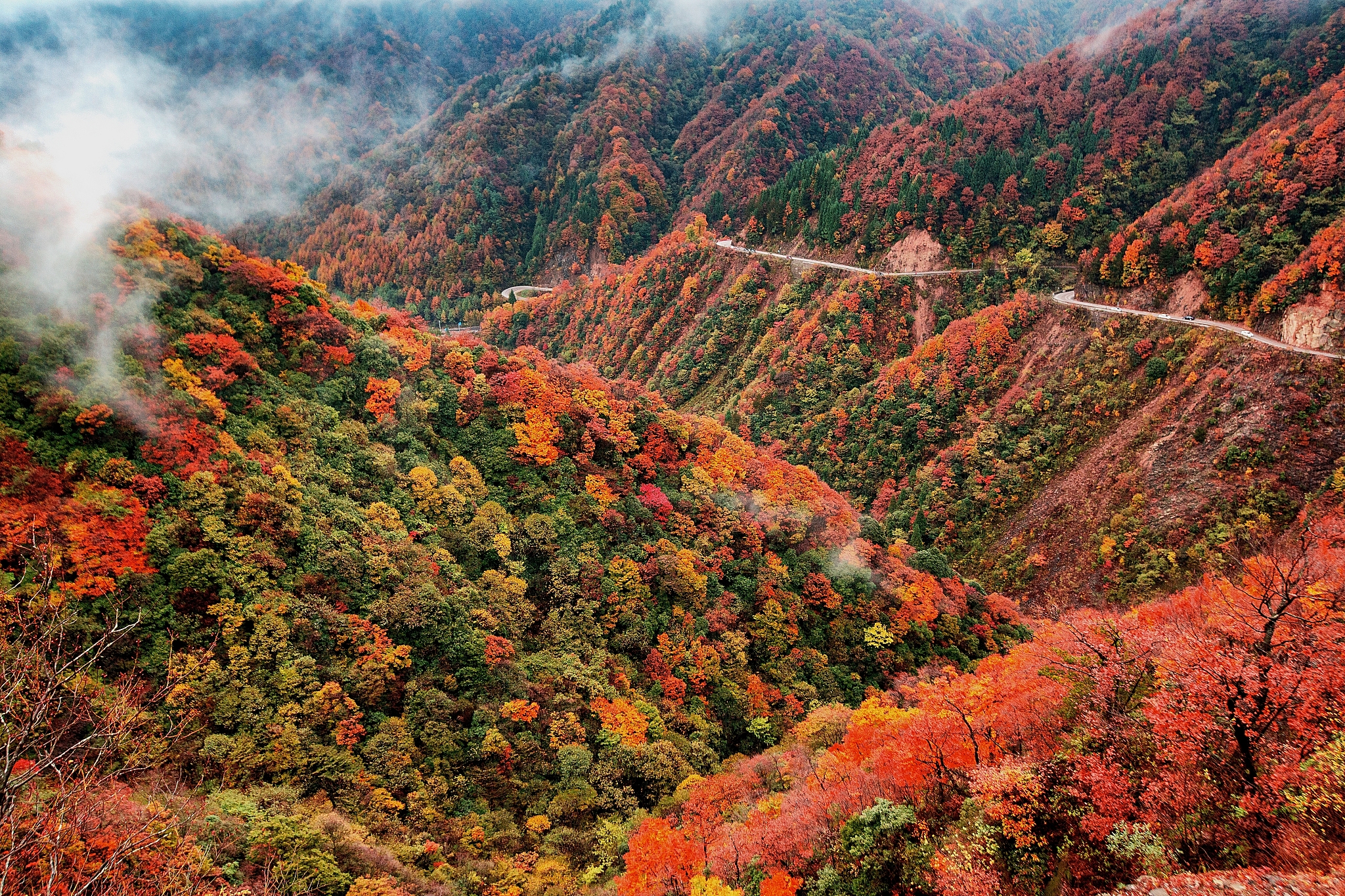 四川省南江县职业中学2022年招生条件是什么怎么样