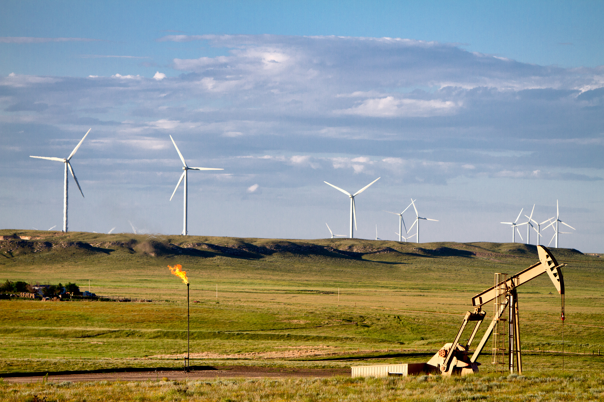 东营职业学院石油工程技术专业涉及哪些课程