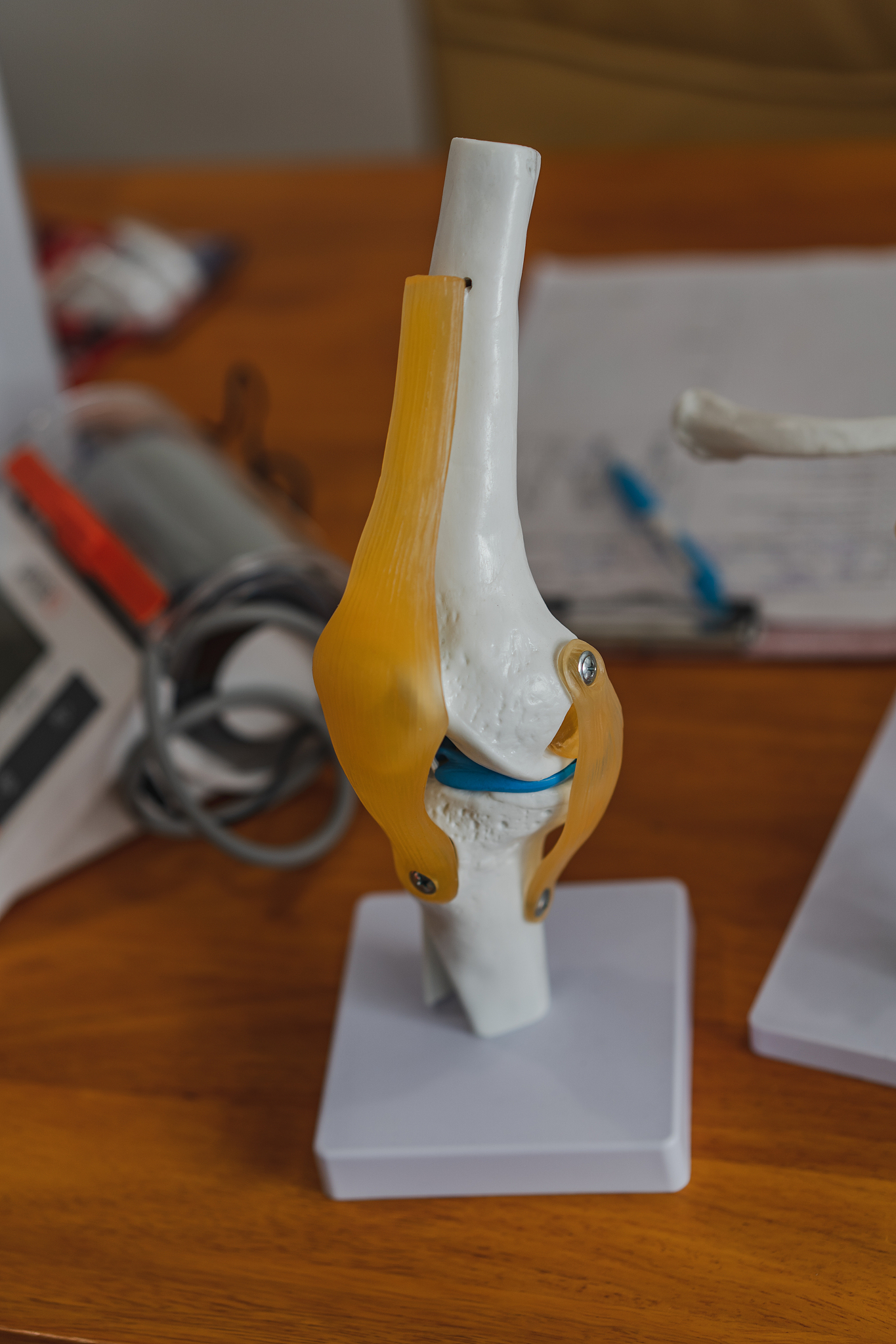 尾静脉注射4T1骨转移模型的成功率