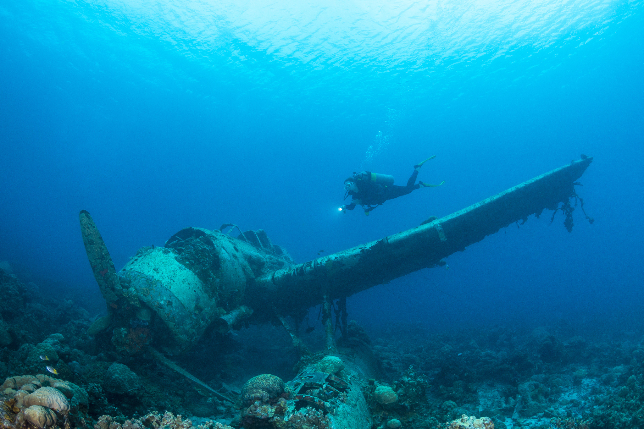 ii ww sunken airplane wreck -palau