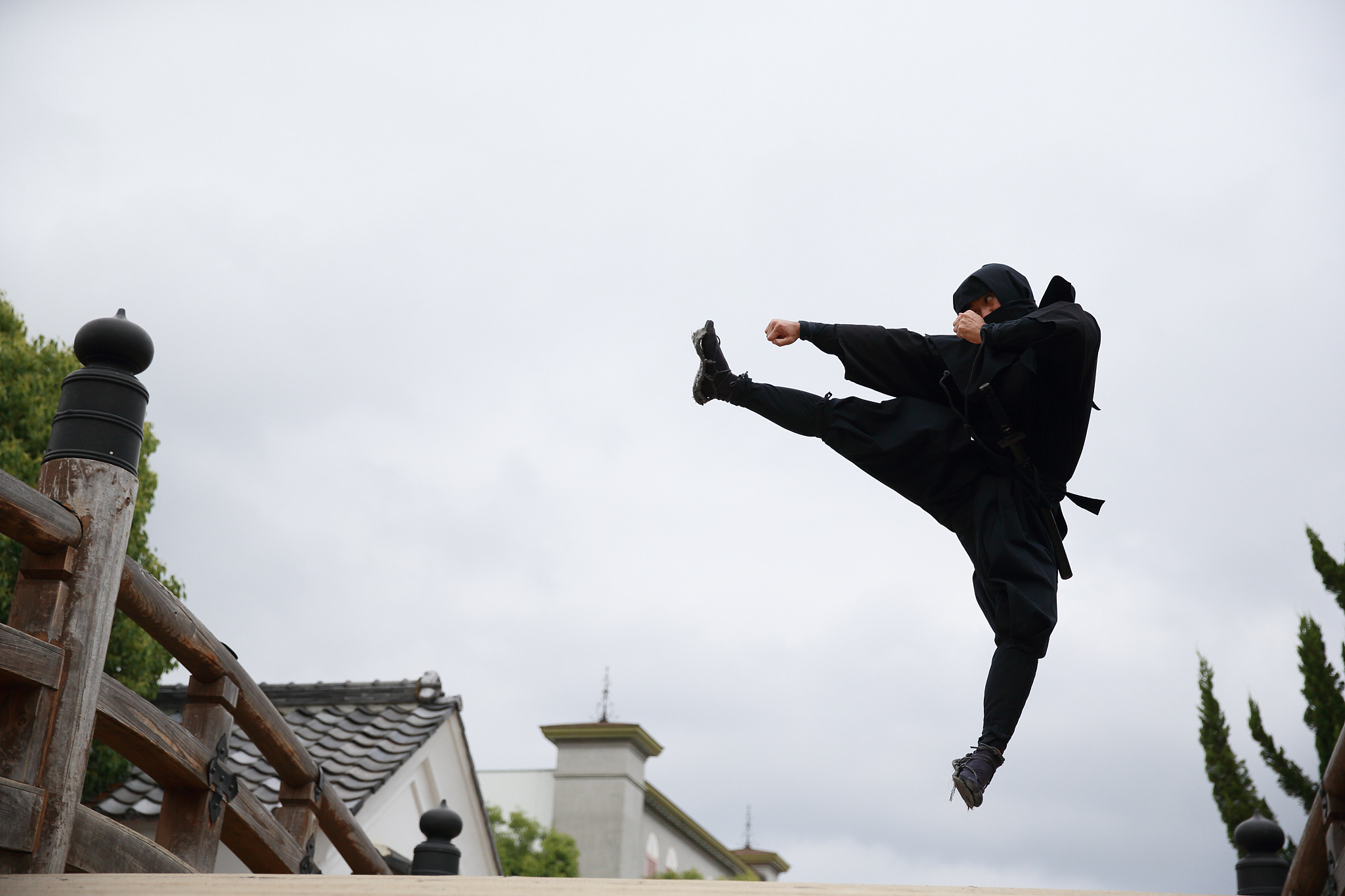 ninja