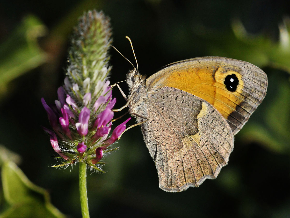 项目部机料科材料考核指标及评分标准 - 与工程进度挂钩