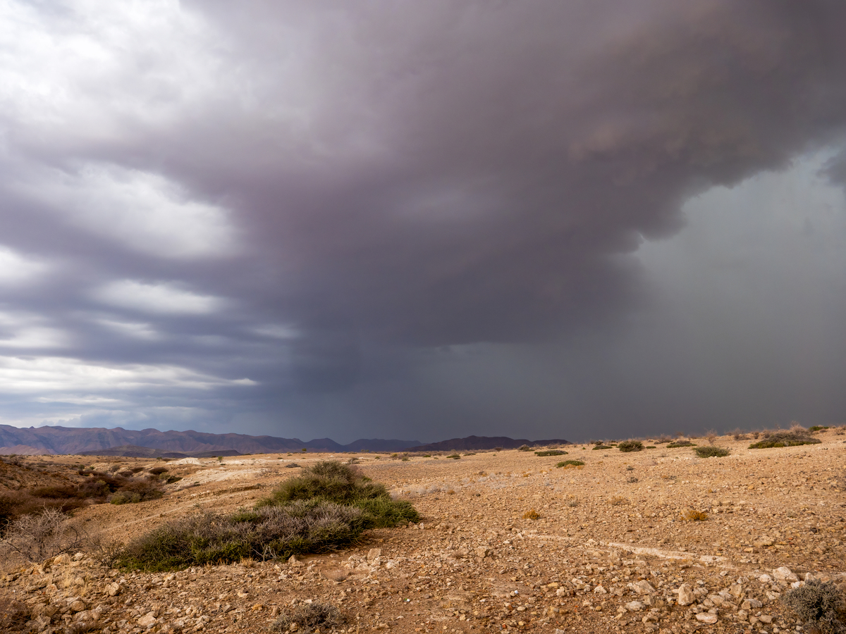 沙漠风暴是什么意思