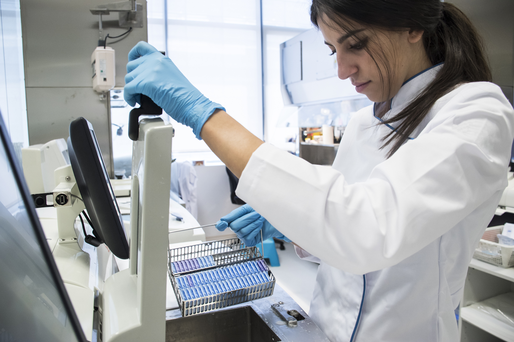 血平板细菌鉴定：从未知菌种到精确分类